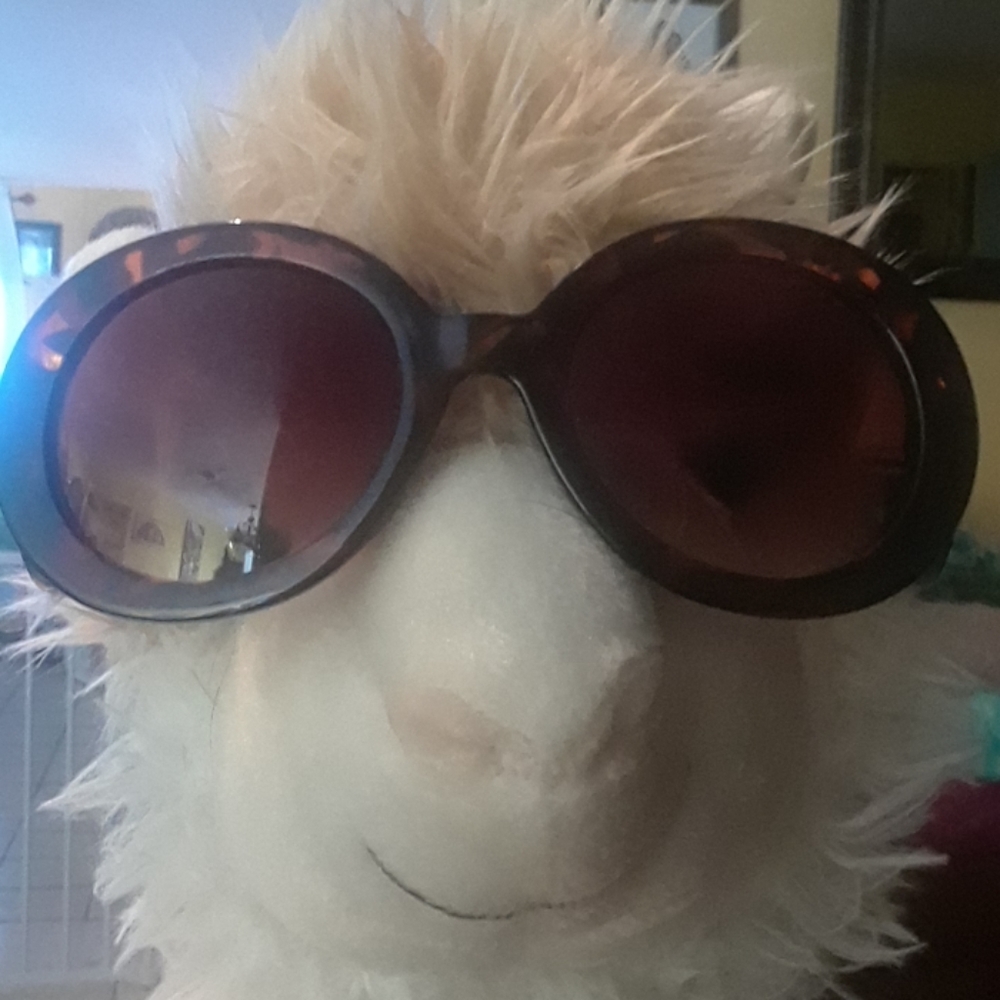NWOT Oversized tortious color sunglasses